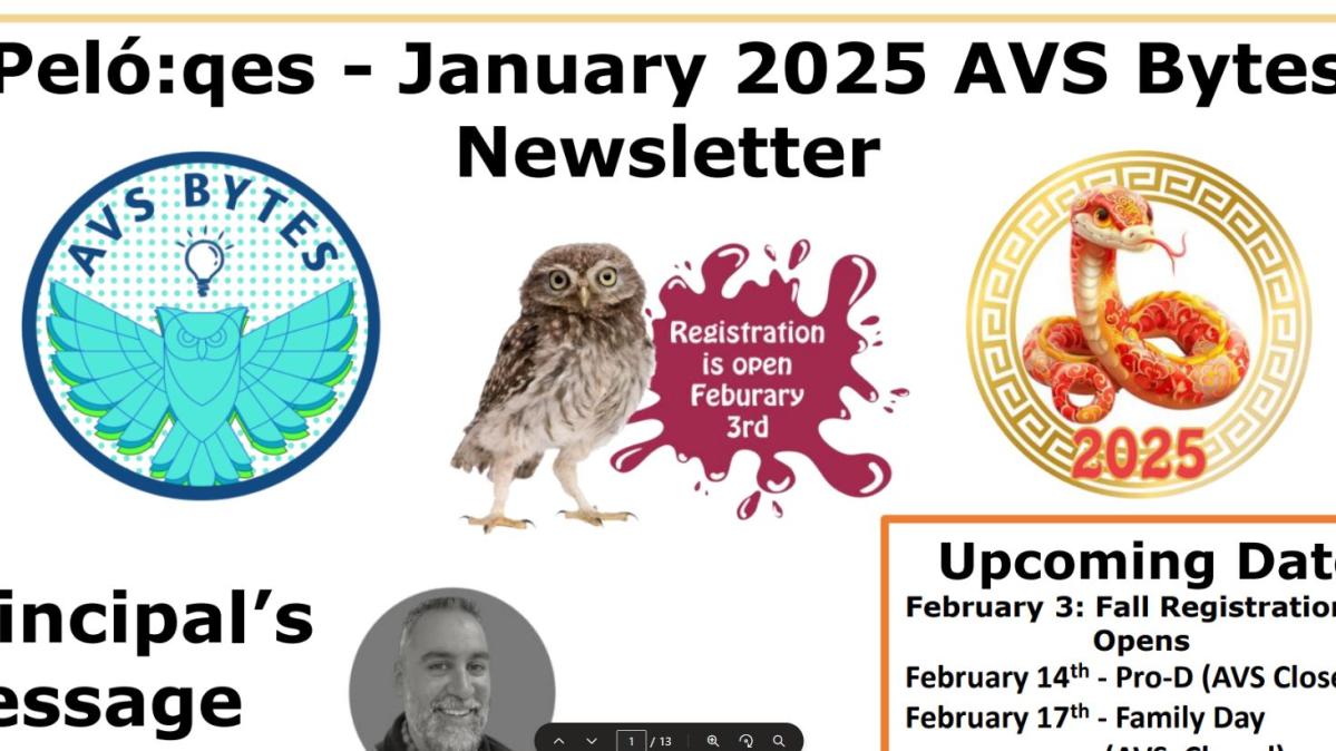 January 2025 AVS Bytes Newsletter