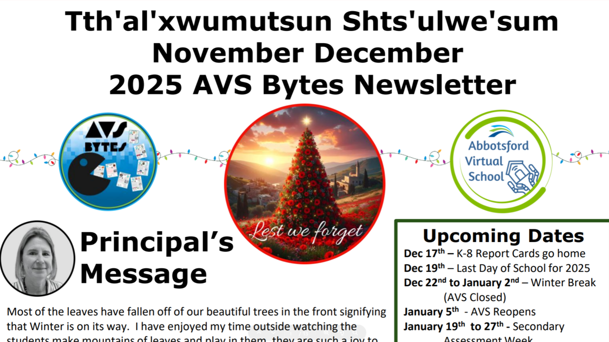 NovDec2025AVSBytesNewsletter