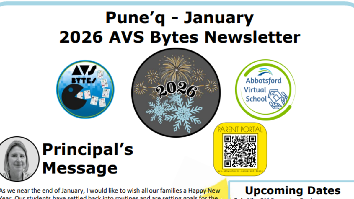 January 2025 AVS Bytes Newsletter Banner