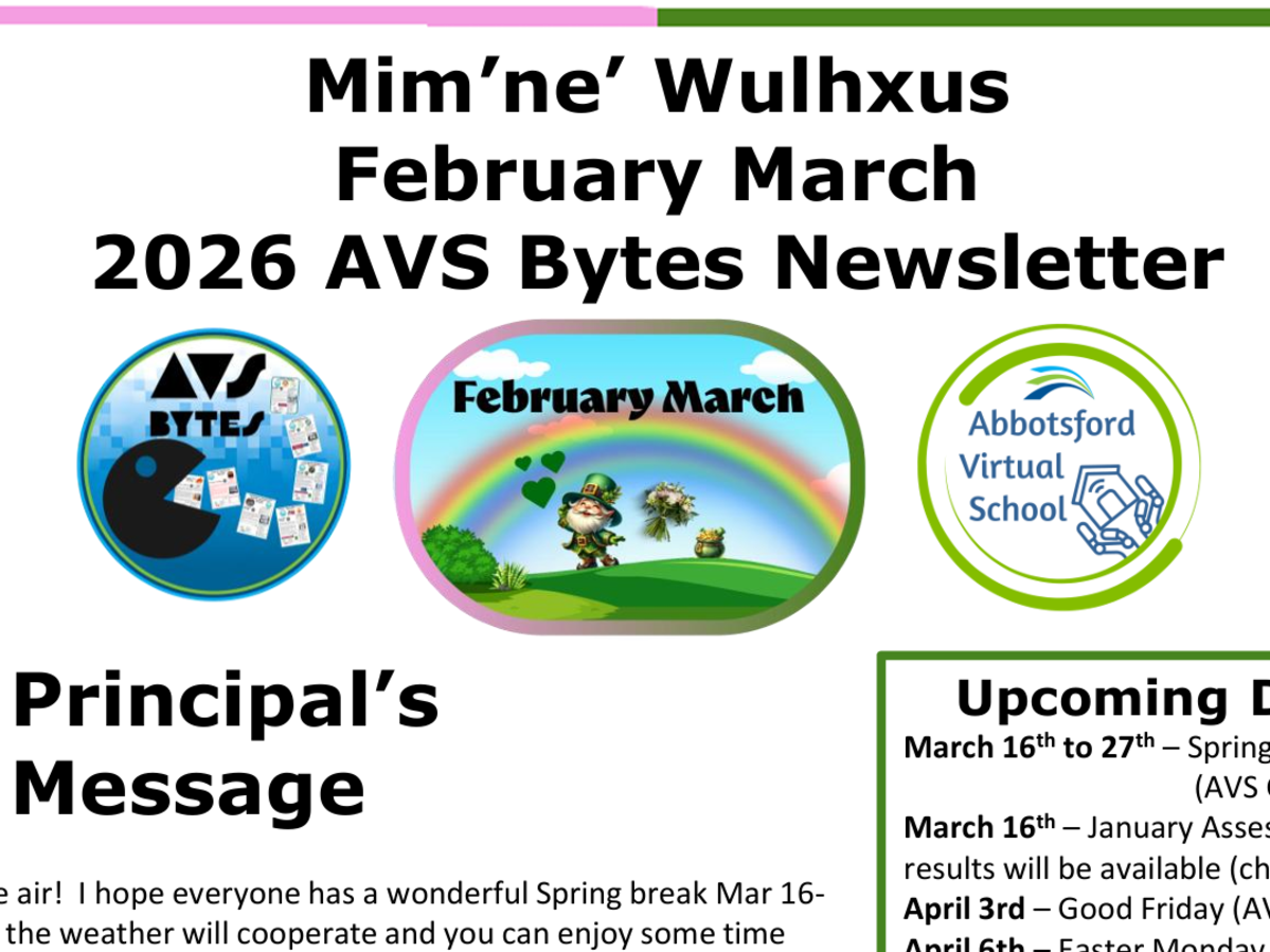 FebMar 2025 AVS Bytes Newsletter Banner