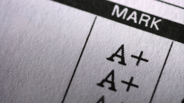 Report Cards 25/26