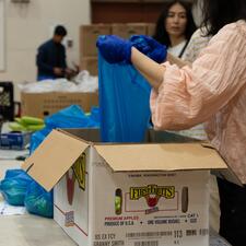 Someone holding a plastic bag over a box that they are filling with fresh produce